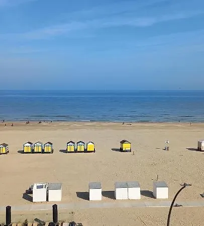 아파트 Alpha 503 드판